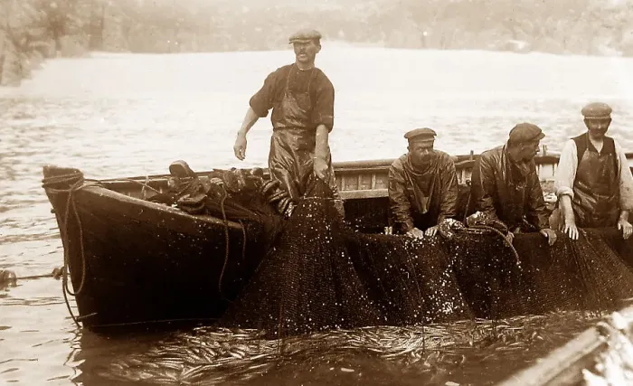 Framed Print : Pilchard fishing in Cornwall with Seine net Framed Print : Pilchard fishing in Cornwall with Seine net