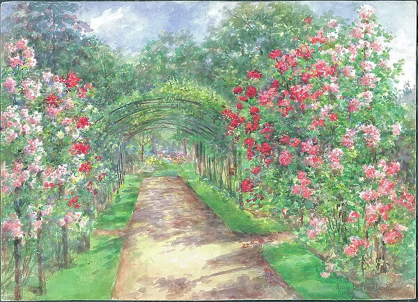 Pillar Roses with Pear Penfold, Garden with path and flowers