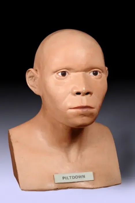 Framed Print : Piltdown Man (Model based on Piltdown 1 & 2) Framed Print : Piltdown Man (Model based on Piltdown 1 & 2)