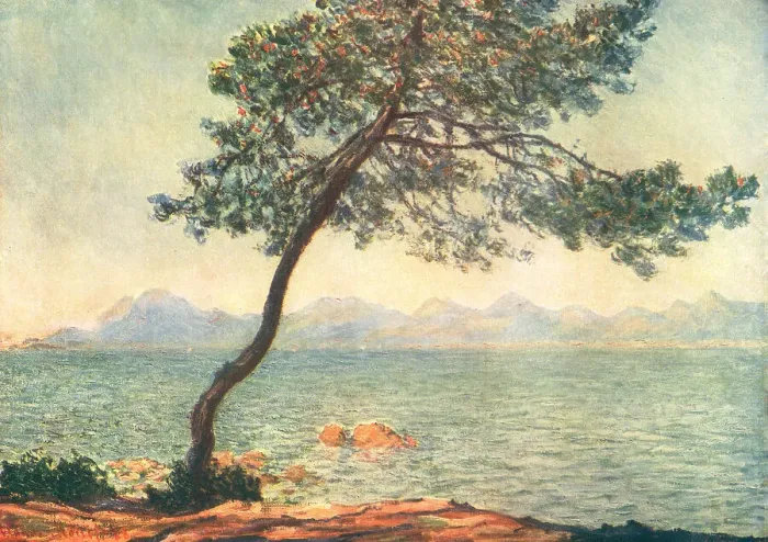 Framed Print : Pine Tree, Cape Of Antibes Framed Print : Pine Tree, Cape Of Antibes