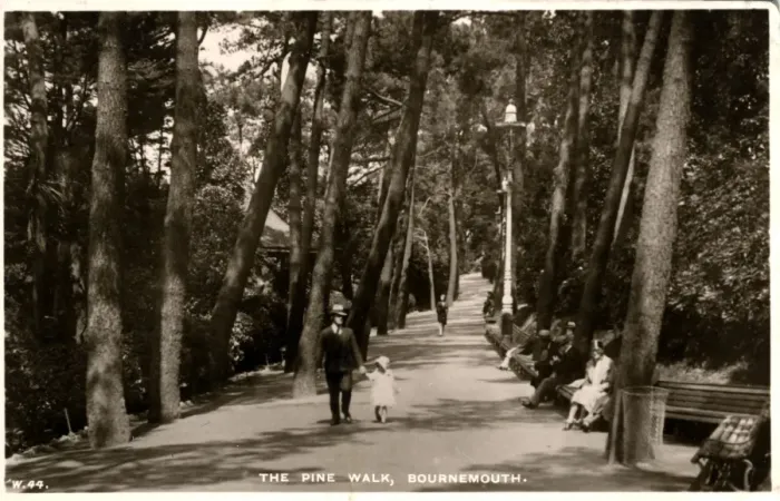 Framed Print : The Pine Walk, Bournemouth, Dorset Framed Print : The Pine Walk, Bournemouth, Dorset