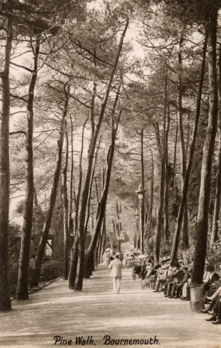 Framed Print : Pine Walk - Bournemouth, Dorset, England Framed Print : Pine Walk - Bournemouth, Dorset, England
