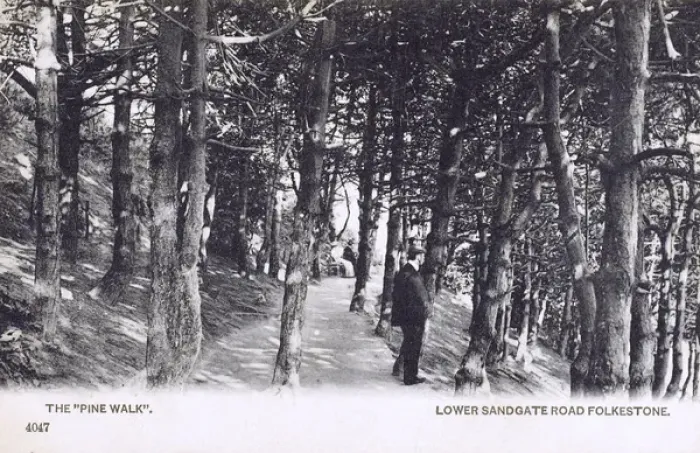 Framed Print : The Pine Walk - Lower Sandgate Road, Folkestone, Kent Framed Print : The Pine Walk - Lower Sandgate Road, Folkestone, Kent