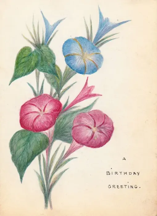 Framed Print : Pink and blue flowers on a hand-coloured birthday card Framed Print : Pink and blue flowers on a hand-coloured birthday card