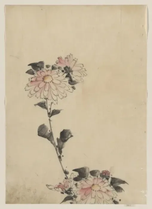 Framed Print : Pink flower blossoms on low stalk and two on a tall stalk Framed Print : Pink flower blossoms on low stalk and two on a tall stalk