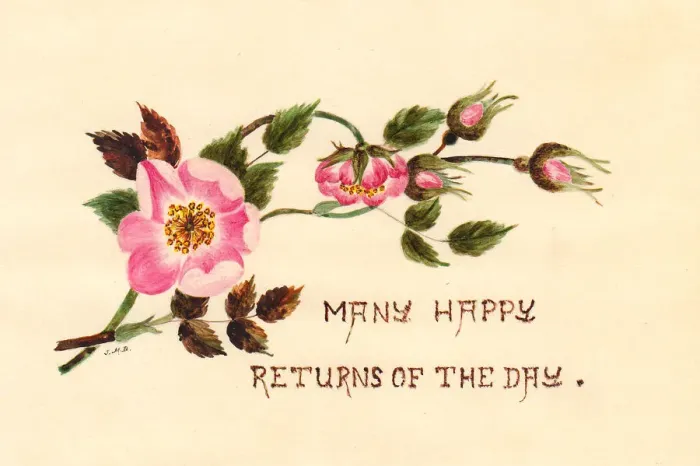 Framed Print : Pink flowers and buds on a hand-coloured birthday card Framed Print : Pink flowers and buds on a hand-coloured birthday card