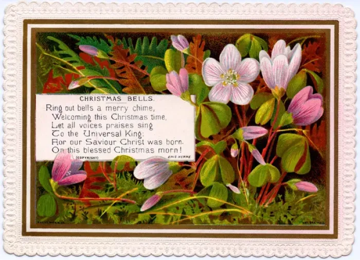 Framed Print : Pink flowers on a Christmas card Framed Print : Pink flowers on a Christmas card