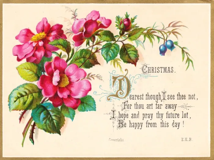 Framed Print : Pink flowers on a Christmas card Framed Print : Pink flowers on a Christmas card
