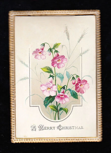 Pink flowers on a Christmas card