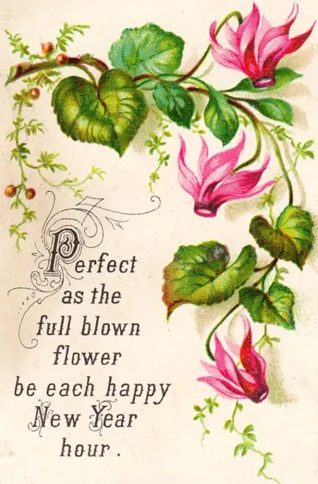 Framed Print : Pink flowers on a New Year card Framed Print : Pink flowers on a New Year card
