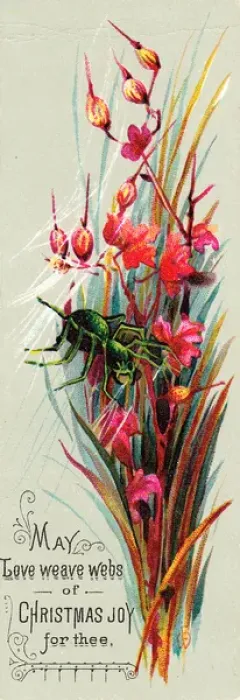Framed Print : Pink flowers and spider on a Christmas card