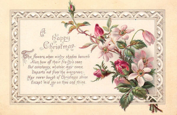 Pink and red flowers on a Christmas card