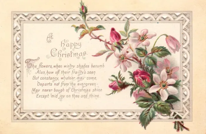 Framed Print : Pink and red flowers on a Christmas card Framed Print : Pink and red flowers on a Christmas card