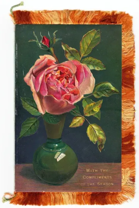 Framed Print : Pink rose on a Christmas card with fringe Framed Print : Pink rose on a Christmas card with fringe