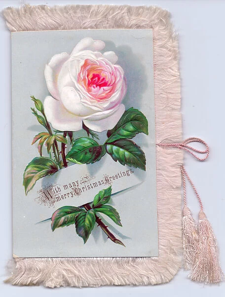 Pink rose on a fabric Christmas card