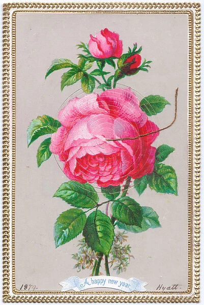 Pink rose on a New Year card