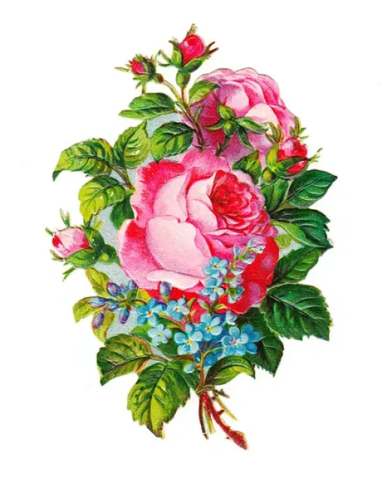 Framed Print : Pink roses and blue forgetmenots on a Victorian scrap Framed Print : Pink roses and blue forgetmenots on a Victorian scrap