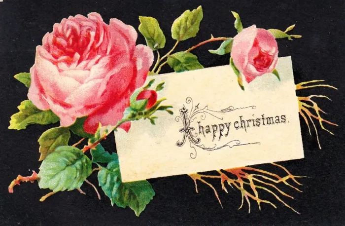 Framed Print : Pink roses on a Christmas card