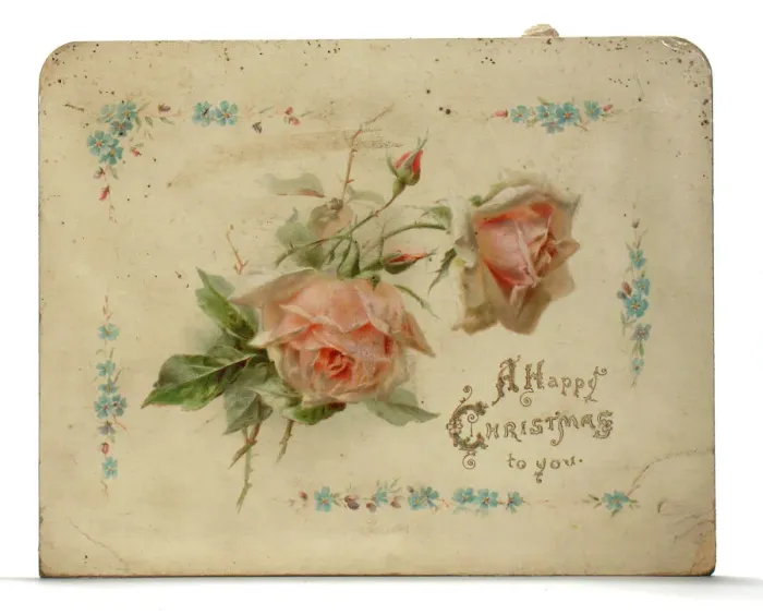 Framed Print : Pink roses on a Christmas card Framed Print : Pink roses on a Christmas card