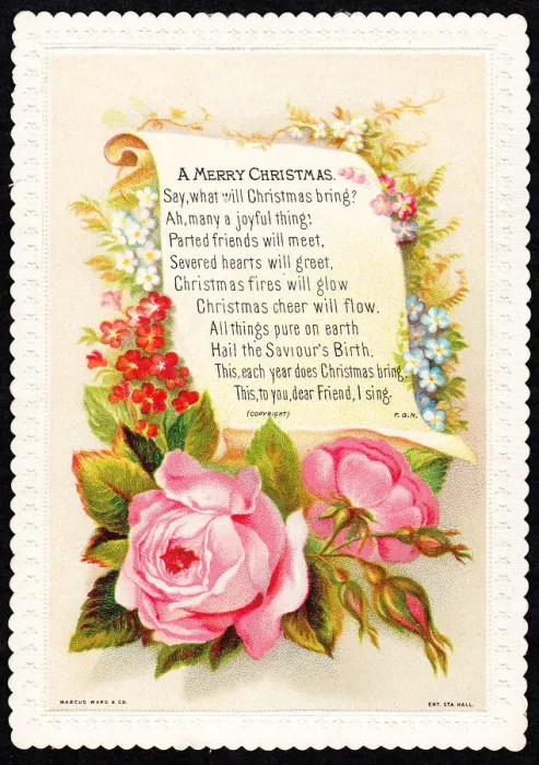 Framed Print : Pink roses on a Christmas card Framed Print : Pink roses on a Christmas card