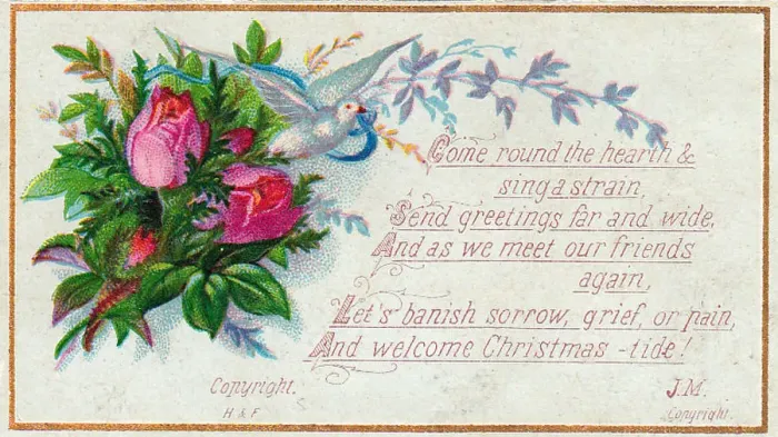 : Pink roses and a dove on a Christmas card : Pink roses and a dove on a Christmas card