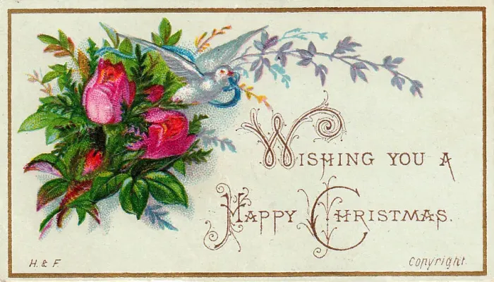 : Pink roses and a dove on a Christmas card : Pink roses and a dove on a Christmas card