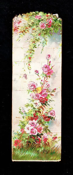 Pink roses on a garden wall on a greetings card