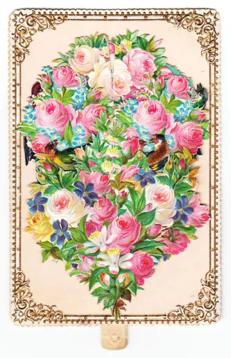 Framed Print : Pink roses on a greetings card Framed Print : Pink roses on a greetings card