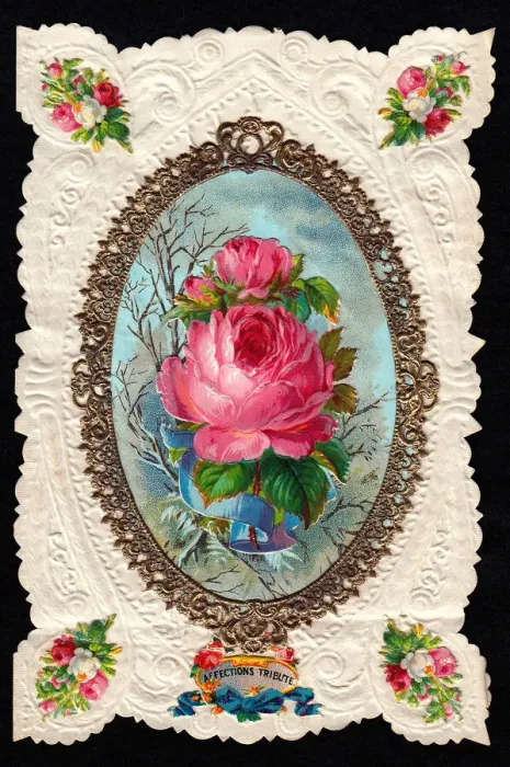 Framed Print : Pink roses on a romantic greetings card Framed Print : Pink roses on a romantic greetings card