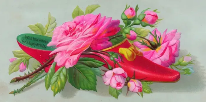 Framed Print : Pink roses in a shoe on a birthday card Framed Print : Pink roses in a shoe on a birthday card