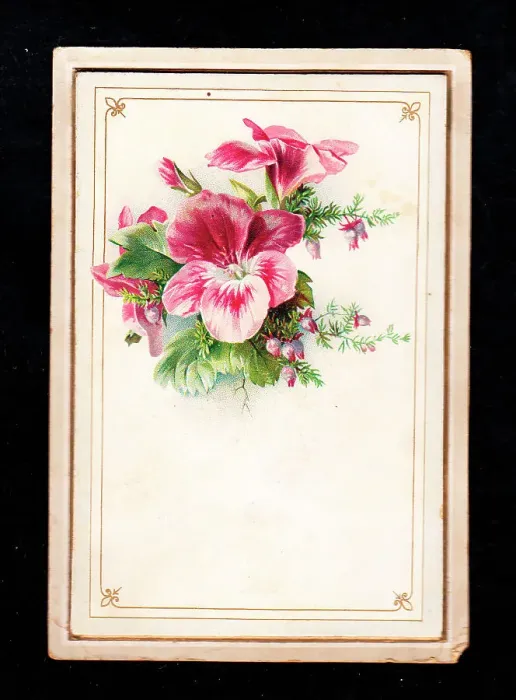 Framed Print : Pink variegated flowers and foliage on a greetings card Framed Print : Pink variegated flowers and foliage on a greetings card
