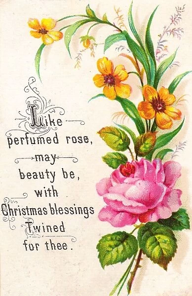 Pink and yellow flowers on a Christmas card