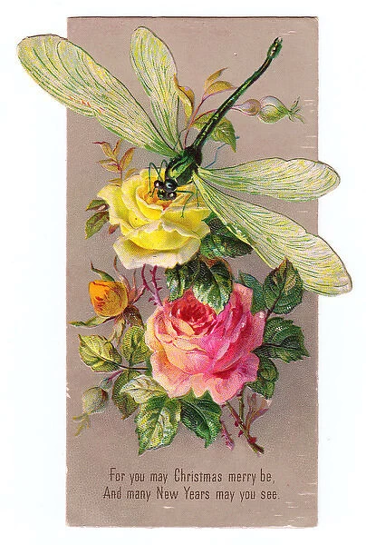 Pink and yellow roses on a Christmas and New Year card