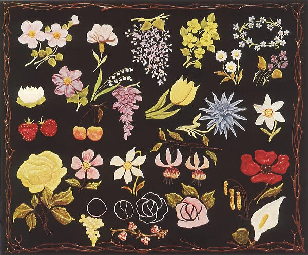 Piped Flower Samples Date: 1935