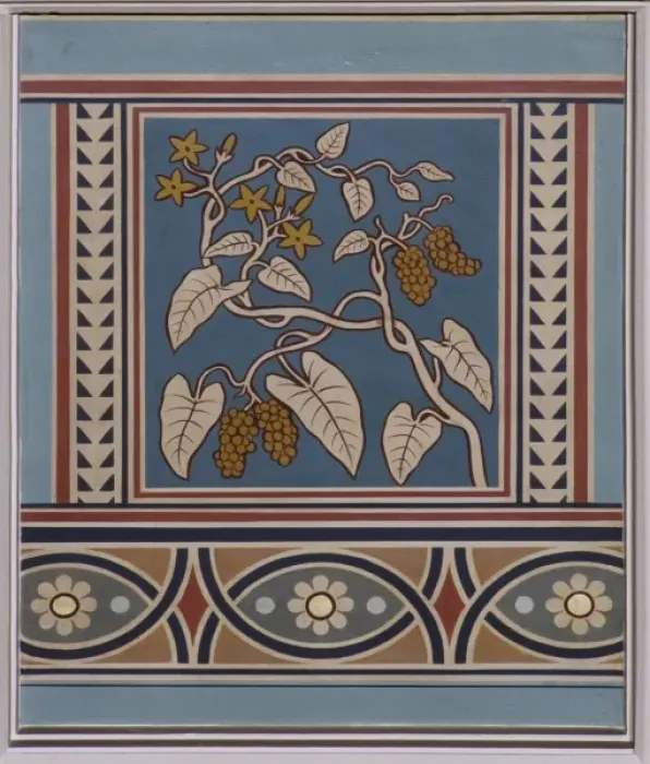 Framed Print : Piper ribesioides, pepper Framed Print : Piper ribesioides, pepper