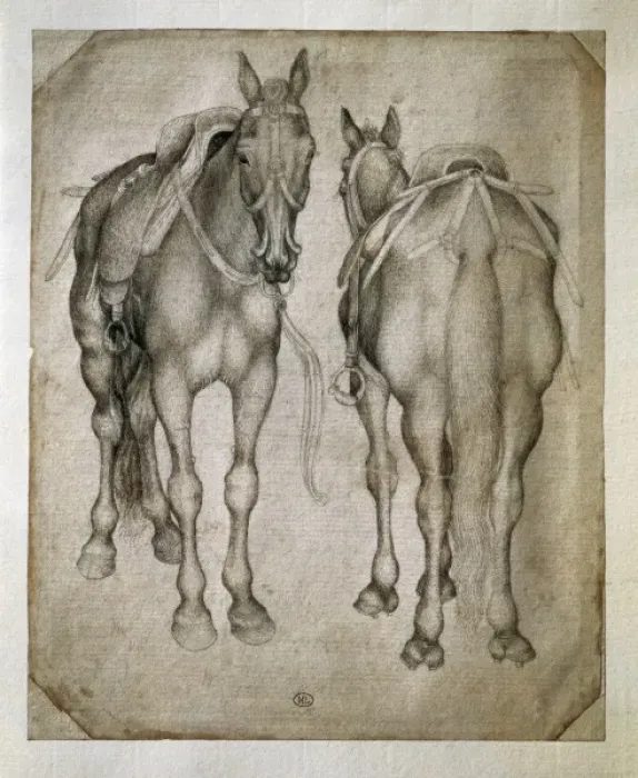 Framed Print : PISANELLO, Antonio di Puccio Pisano, called (1395-1455) Framed Print : PISANELLO, Antonio di Puccio Pisano, called (1395-1455)