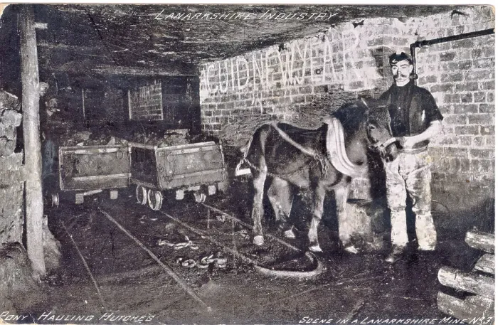 Framed Print : Pit pony with handler underground in Lanarkshire mine Framed Print : Pit pony with handler underground in Lanarkshire mine