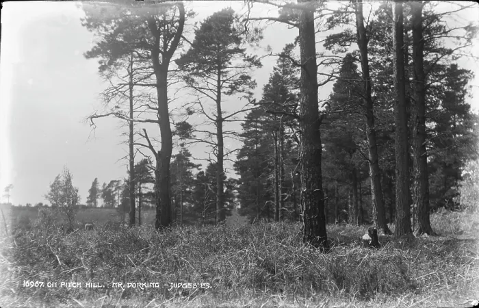 Framed Print : On Pitch Hill Framed Print : On Pitch Hill