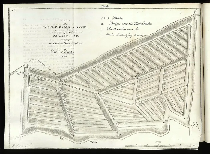 Framed Print : Plan of a Water-Meadow made out of a Bog Framed Print : Plan of a Water-Meadow made out of a Bog