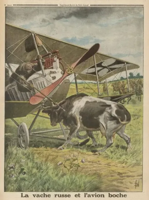 Framed Print : Plane Meets Cow Framed Print : Plane Meets Cow