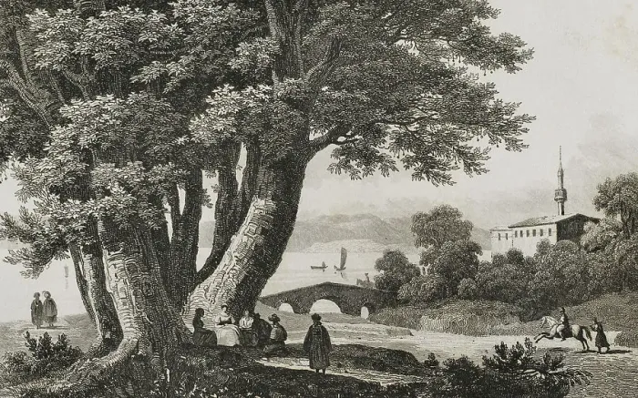 Framed Print : Plane trees of Godfrey of Bouillon. Prairie of Buyukdere Framed Print : Plane trees of Godfrey of Bouillon. Prairie of Buyukdere