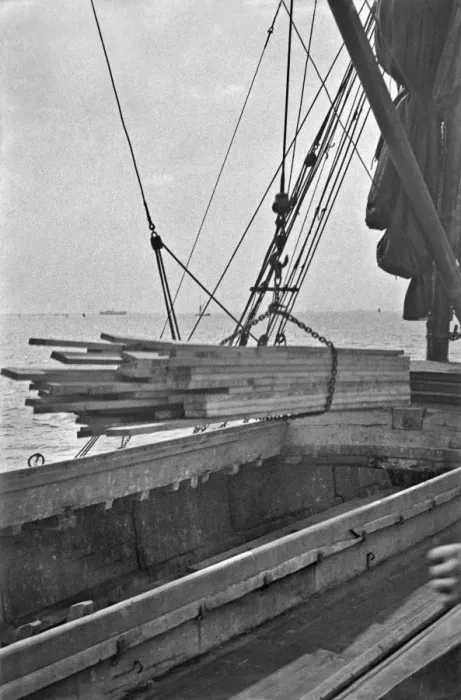 Framed Print : Planks of wood Framed Print : Planks of wood