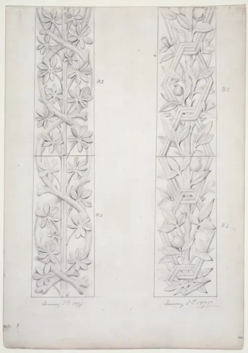 Framed Print : Plant design Framed Print : Plant design