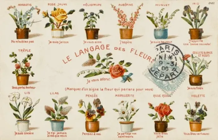 Framed Print : Plants / Decorative Floral Framed Print : Plants / Decorative Floral