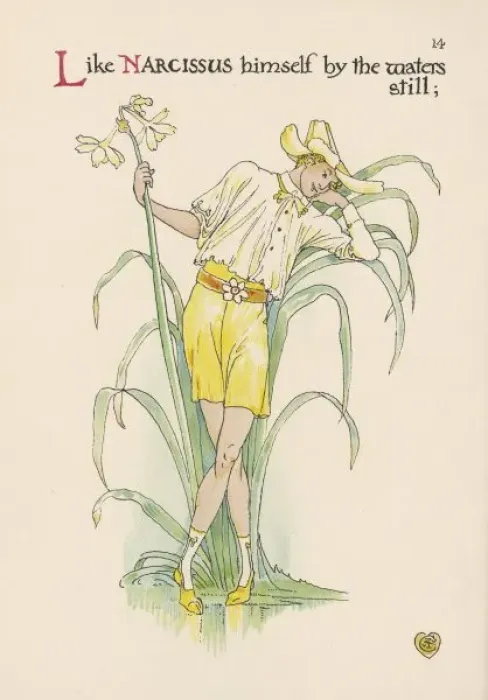 Framed Print : Plants / Narcissus Framed Print : Plants / Narcissus
