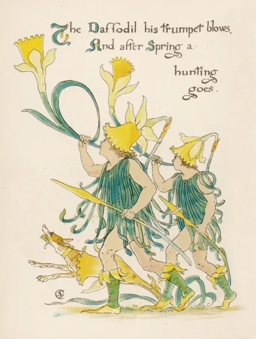Framed Print : Plants / Narcissus Species Framed Print : Plants / Narcissus Species