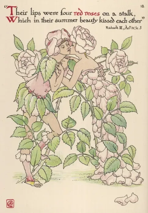 Framed Print : Plants / Rosa Framed Print : Plants / Rosa