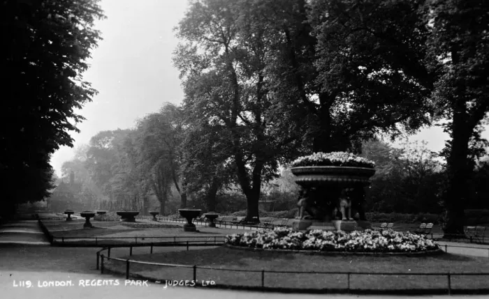 Framed Print : Plants and trees in Regents Park, London Framed Print : Plants and trees in Regents Park, London