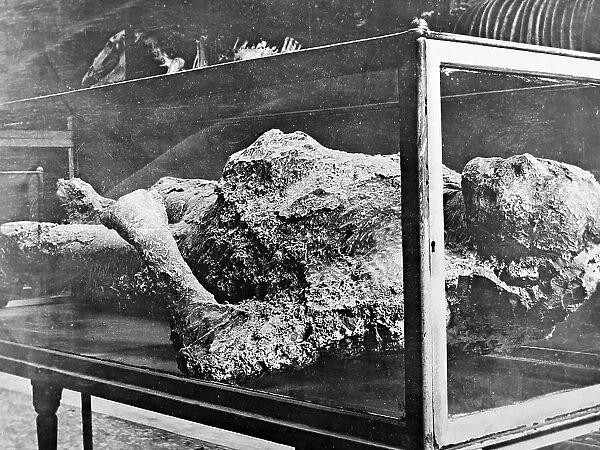 Plaster cast in Pompeii Museum, Pompeii, Italy