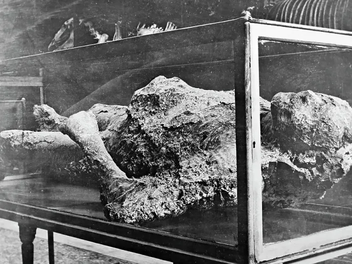 Framed Print : Plaster cast in Pompeii Museum, Pompeii, Italy Framed Print : Plaster cast in Pompeii Museum, Pompeii, Italy